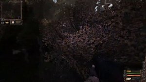 S.T.A.L.K.E.R.: Dark Path-Тёплый приём на Агропроме.
