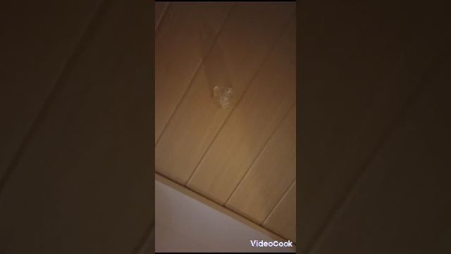 АХХАХАХАХХХАХАХАХАХХАХАХАХХАХХХХХАХАХХА