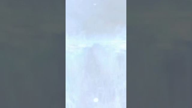 Приход Голода!!! #секретнебес, #секретнебес2, #сн, #сн2 , #клубромантики, #фэнтези, #fantasy, #musi смотреть онлайн