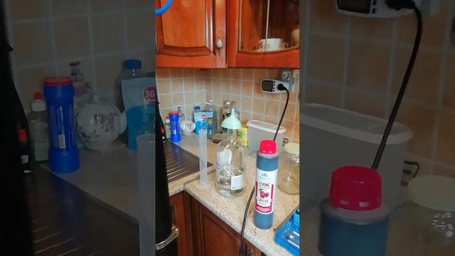 Вторая дробная перегоночка и все ради эксперимента с мацерацией.
