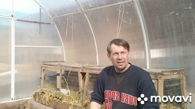 Дорогой корм не значит хороший.