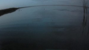 Первая охота на утку, руки трясутся от волнения, впервые на охоте