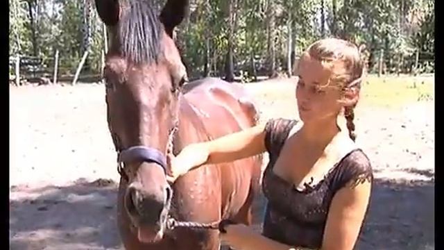 ЗАРЯДКА смотреть онлайн