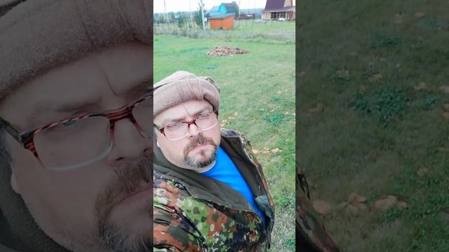 Ещё один ВЕДЬМИН КРУГ на участке.