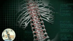 Аппарат для лечения позвоночника 3D NEWTON