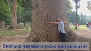 Королевский ботанический сад Перадения на Шри-Ланке.