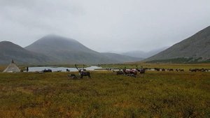 Рыбалка на трофейного хариуса на Полярном Урале в Воркуте тел.89129514111