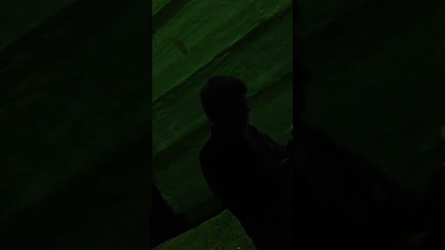 День 31. Ночная философия