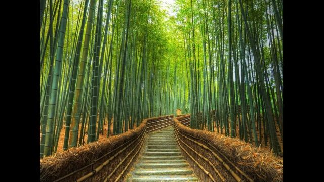 Запись 73 Натали. Исцеление болезни Крона. смотреть онлайн