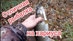 Трофейная рыбалка на таёжной речке.