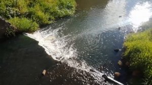 03.09.22 Гдов - берег Чудского озера.