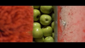 ИСТОРИЯ КОМПАНИИ PROFRESH GROUP