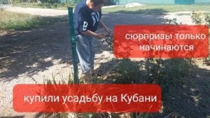 Купили усадьбу на Кубани.Сюрпризы только начинаются.Здесь кто то живёт.Что с работой.
