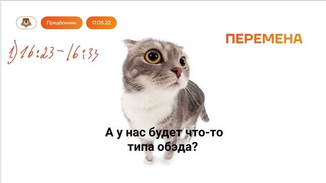 Предбанник. День 3  (1 часть). Умскул. Сливы. Умскул огэ сливы