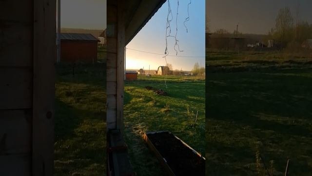 Грибной дождь в почти мае.
