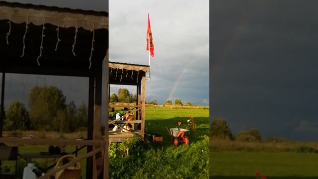 Радуга Радует.