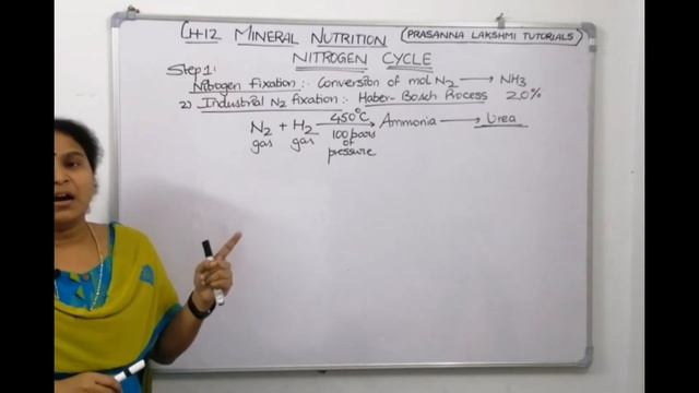 MINERAL NUTRITION lecture #13 смотреть онлайн