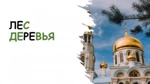 Лес, деревья