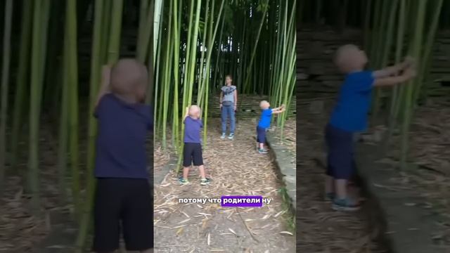 Удобно винить родителей и не признавать, что это вы ничего не делаете