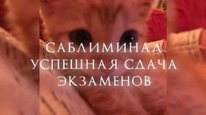 саблиминал успешная сдача экзаменов [📚]