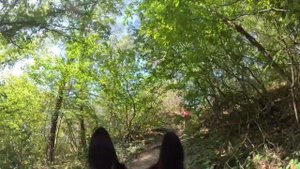 copy_55FF60FE-8D13-4CCF-A53F-C8B4B0475D96
Прогулка
Пес режисер
Геленджик 
Сосновая роща
Скалы