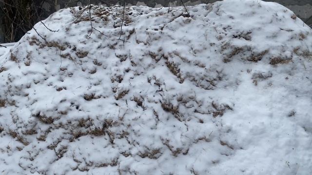 ОТХОДЫ ПРЕВРАЩАЕМ В ДЕНЬГИ | СЕЛЬСКОЕ ХОЗЯЙСТВО | САМЫЙ ВЫГОДНЫЙ БИЗНЕС смотреть онлайн