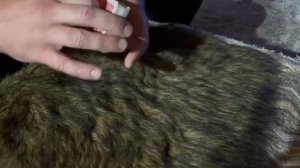 Сила мысли, намерения меняет жизнь. Трансерфинг реальности без Зеланда. Влияем на реальность в виде