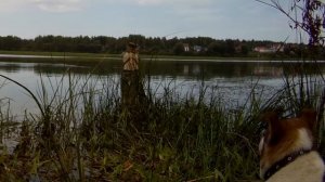 06.08.23 Все 33 удовольствия.