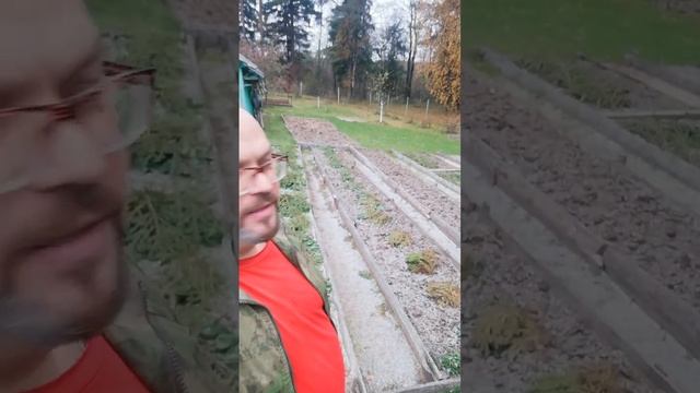 А у матушки в Псковской ещё золотая осень.