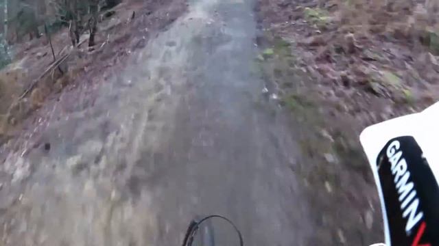 MTB swinley forest (Blue+Red line) смотреть онлайн