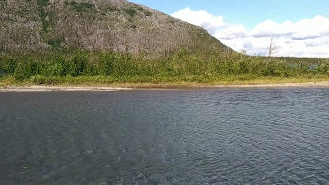 ЖИЗНЕННОЕ ВРЕМЯ кому на самом деле принадлежит? смотреть онлайн