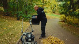 Тест инструментов для сбора листьев: воздуходувка, газонокосилка.