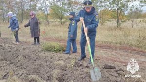 Сотрудники МЧС России приняли участие во Всероссийской акции «Сохраним лес»