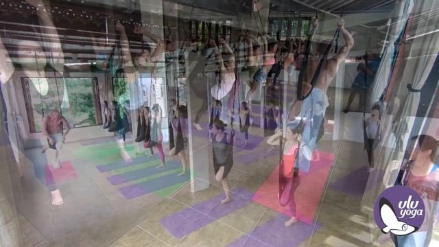 Aerial Yoga Mastery | ULUYoga | Yoga Alliance Certified TTC