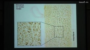 Сурдин В.Г. - Общая астрономия.Часть 2 - 13. Космология