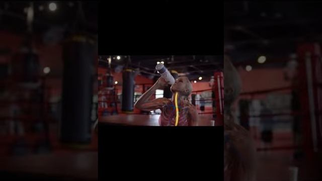 Ингридиенты почти на 100% проникают в клетку! NTC запатентованная технология от Fitline смотреть онлайн