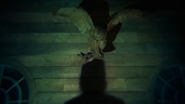 SPOILERS - Alan Wake 2 GMV - Follow You into the Dark (RAKEL) смотреть онлайн