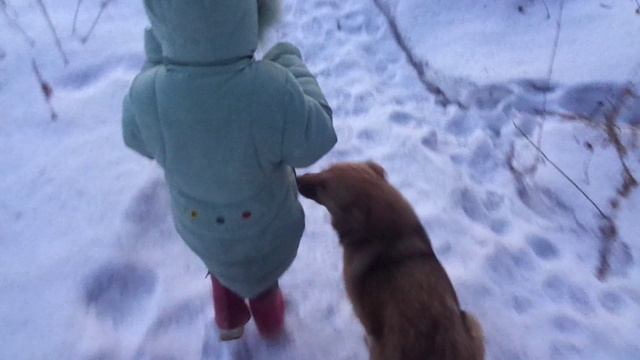 ЗАГОРЬЕ 20.01.2021