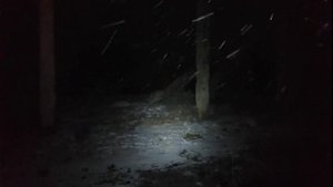 Радиохулиганы на 160 метрах. Сталкинг и партизанство.