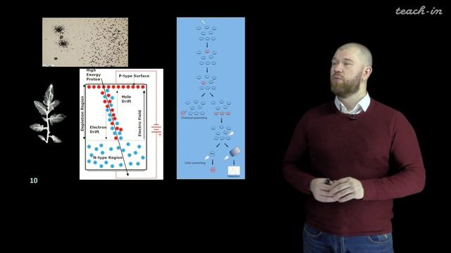 Petrov V.G. - Basics of radiochemistry. Lectures - 12. The overview of the course