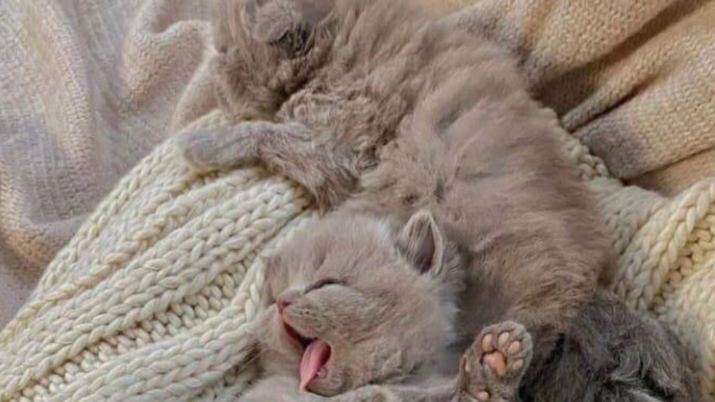 играю в игру на. 2 смотреть онлайн