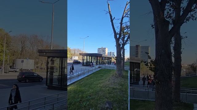 Зюзино, или самый жужжащий район Москвы. Часть 1.