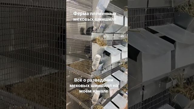 Сельское хозяйство смотреть онлайн