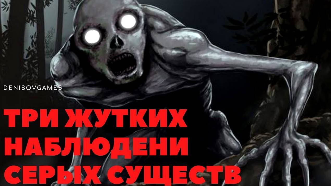 ТРИ ЖУТКИХ НАБЛЮДЕНИЯ СЕРЫХ СУЩЕСТВ ( РЕЙК )