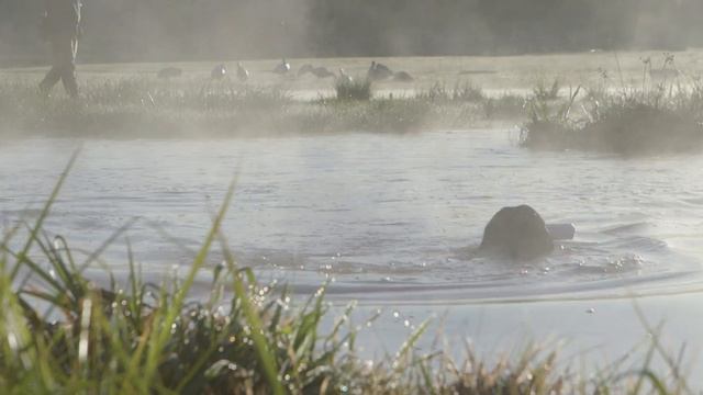 The Next Chapter | An Alpha Dog Nutrition Film смотреть онлайн