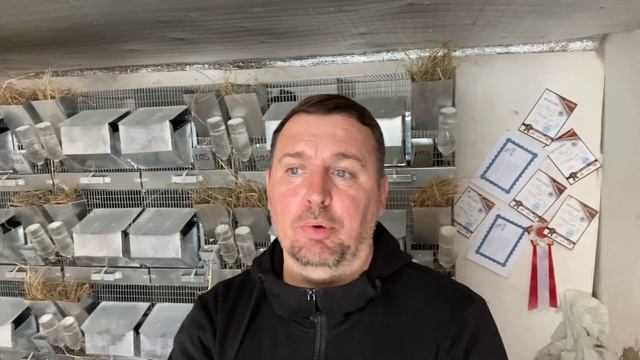 ГЛАВНОЕ В ШИНШИЛЛОВОДСТВЕ | СЕЛЬСКОЕ ХОЗЯЙСТВО смотреть онлайн