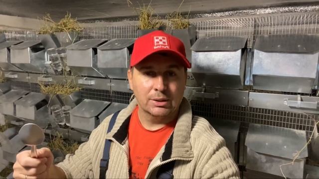 МОИ ОБЯЗАННОСТИ НА ФЕРМЕ |ФЕРМА ШИНШИЛЛ | ШИНШИЛЛОВАЯ ФЕРМА смотреть онлайн