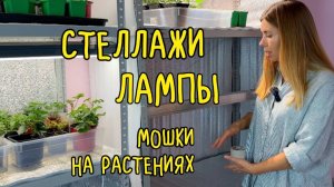 КАК ОРГАНИЗОВАНЫ МОИ СТЕЛЛАЖИ ДЛЯ РАССАДЫ И ЗИМНЕГО ОГОРОДА. Мошки на комнатных растениях, как избав