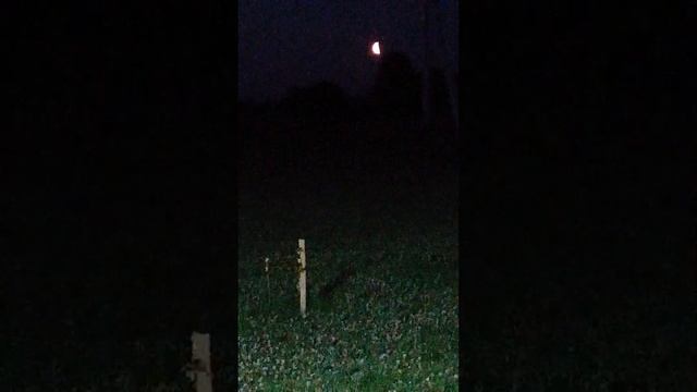 Полумесяц прям в колор к алым парусам.