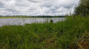 Звуки природы 18.6.22 берег Волхова